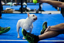 Load image into Gallery viewer, The "BULLDOG"