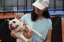 Load image into Gallery viewer, The "Velma" Baby Blue BDOG cropped T